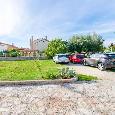Cetina Rovinj