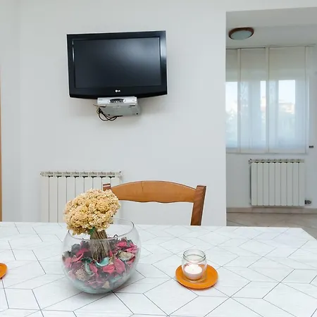 公寓 Cetina 罗维尼